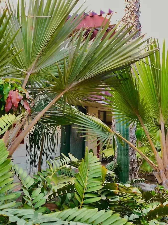 Apart.Relax Costa Del Silencio Apartment